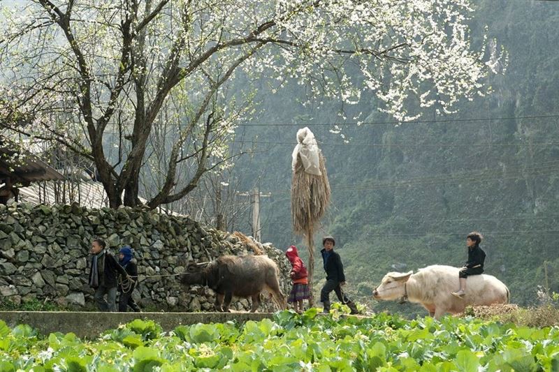 Sapa Adventure From Waterfalls To Villages